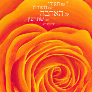 ורד אם תעירו את האהבה
