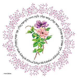 בואי כלה